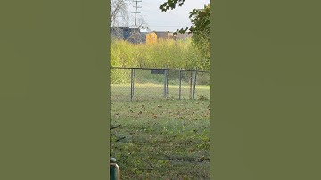 CSX leased coal passes CSX leased coal #railvlogger #railway #railfan #railtrack #train #railways