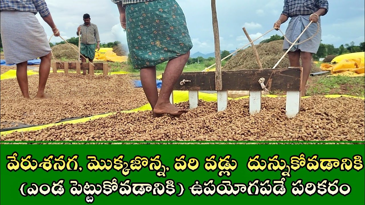 వేరుశనగ, మొక్కజొన్న, వరి వడ్లు దున్నుకునే పరికరం | రైతులు మస్ట్ వాచ్ వీడియో | RAJA REDDY BOMMAKKA 
