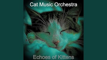 Pulsating Moods for Kittens