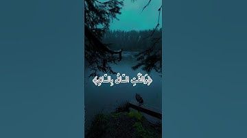 ما تيسر من سورة القيامة (القارئ عمر)