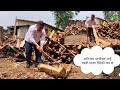 सकारात्मक सोच लिएर सबैसँग मुस्कुराउँदै बाँच्न सक्नु नै असली सफलता हो || आज धेरै समय पछि दाउरा चिर्दै