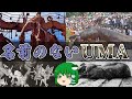【ゆっくり解説】名前のないUMA