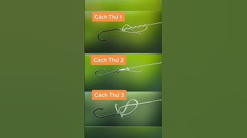 Cách buộc lưỡi câu chắc chắn với lưỡi câu có lỗ, bạn nên lưu lại để dùng