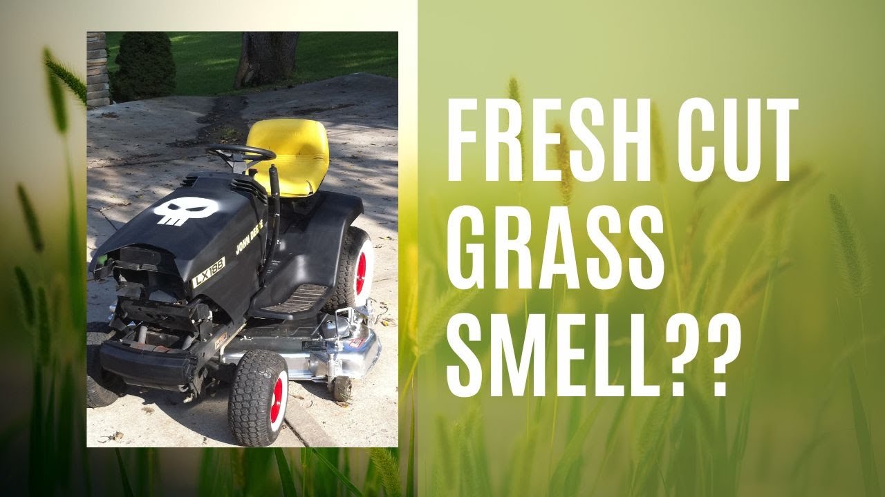 The Smell of Cut Grass: A Plant’s SOS