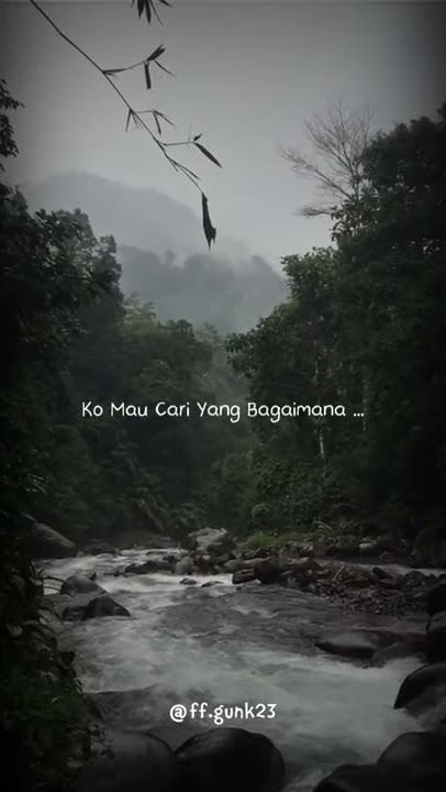 CUMA SAYA ||| 🔴STORY WA