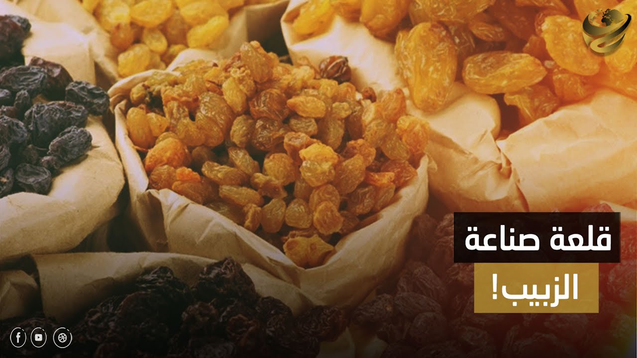 بتنافس دول العالم وبتدخل عملة صعبة.. قرية شنراق قلعة صناعة الزبيب في مصر: إزاي بتصنع أجود الأنواع!