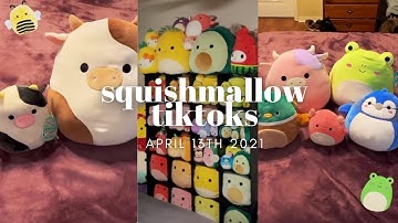 BEST SQUISHMALLOW TIKTOKS | connor the cow, squishmallow hunting, squishmallow hauls, squishmail!