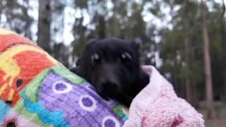 Have You Ever Been To A Bat Colony? Here With James We Have A Question For You.❤️🦇❤️ Details