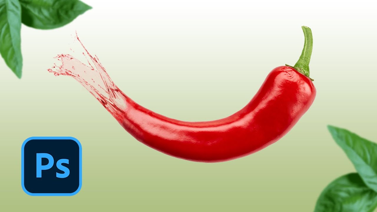 Qinning koplab fotosuratlari eshakka qadar yirtilgan