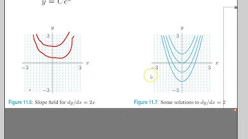 AP Calculus: 11.2 Slope Fields