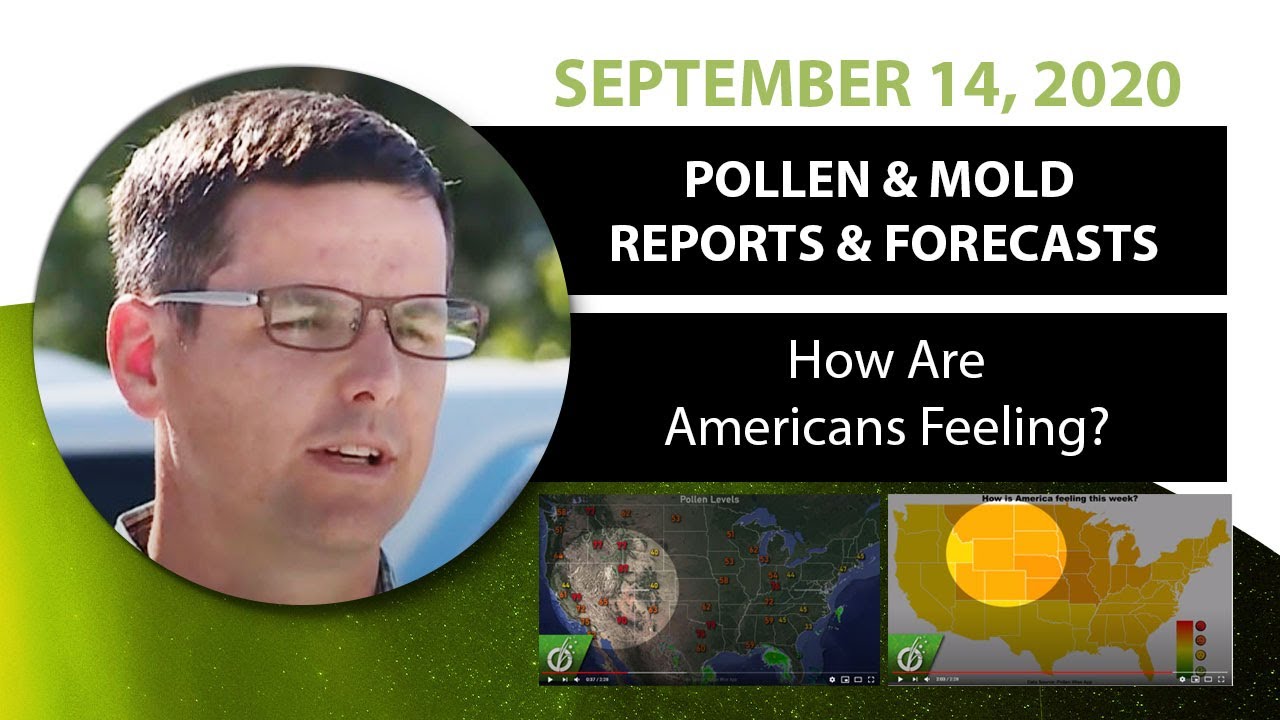 Seasonal Allergy Forecast Pollen and Mold Counts, September 14, 2020