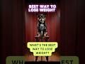 🐶The Easiest Way to Lose Weight🥗| Pup Stand-Up Comedy Shorts 🎤🤣 EP17 #shorts #funny #comedy #dog