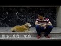 樹下 最後一哩路 樹下 最後一哩路