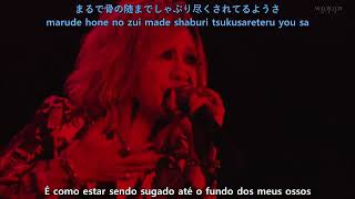 Watch Gazette Venomous Spiders Web video