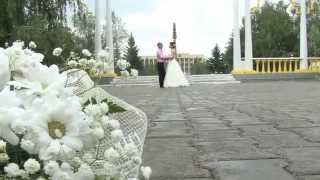 Видео Свадьба Видео Свадьба