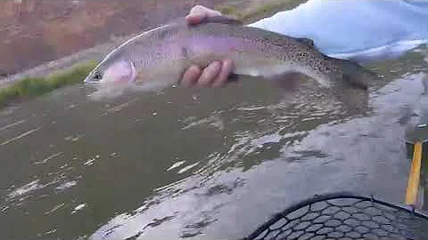 Yakima River Fishing #flyfishing