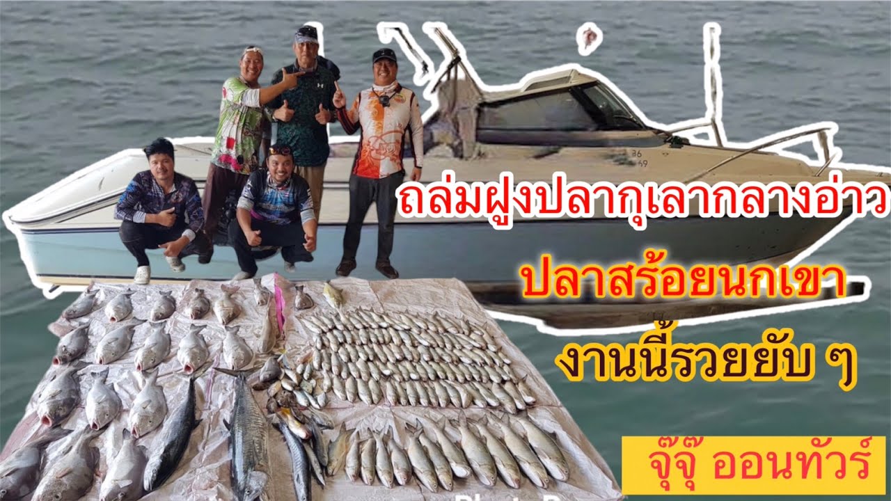 ถล่มฝูงปลากุเลา และปลาสร้อยนกเขา 100 กว่าตัว กล่าวอ่าวไทย