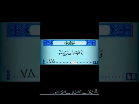 لاتيأس ولاتيئسوا من روح الله صوت جميل يريح القلب القارئ عمرو موسي 