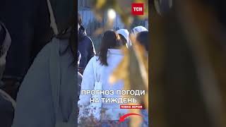 Тепло повертається?! Такої ПОГОДИ в кінці жовтня НЕ ОЧІКУВАЛИ!