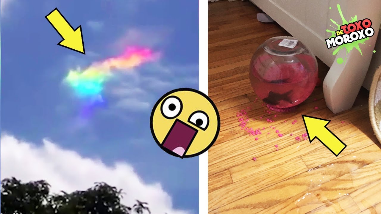 Cosas que pasaron solo una vez en la vida | DeToxoMoroxo