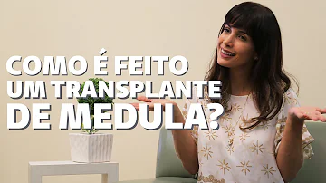Quando é indicado o transplante de medula óssea?