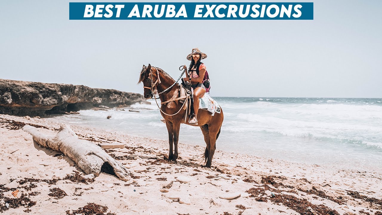 This Aruba Excursion Took My Breath Away! | Horseback Riding in Aruba with 297 Tours
