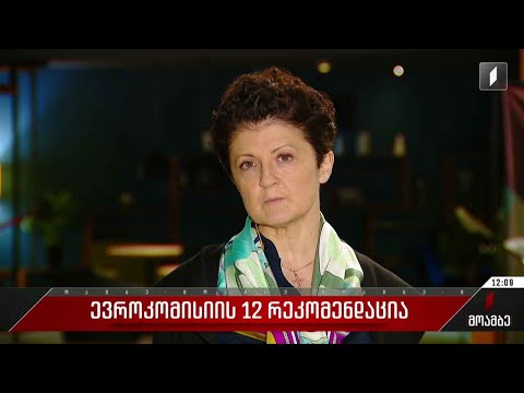 ევროკომისიის 12 რეკომენდაცია