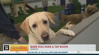 Bark Dog Park & Tap Room