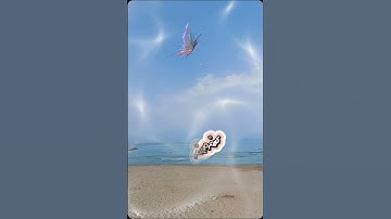 #قران_كريم #اكسبلور #alquran #دعاء #تلاوة_خاشعة #ترند #تيك_توك