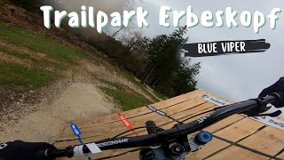 Blue Viper Trailpark Erbeskopf 2023