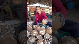 Thai Auntie Peeling Brown Mature Coconut Cutting Skill - Fruits Cutting Skill