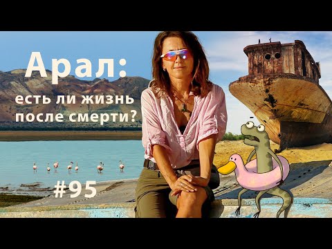 Video: Биологияда арал биогеографиясынын теориясы кандай?