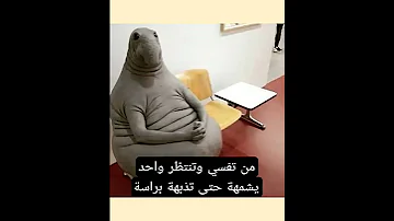 ولله صدق من تفسي وتنتظر واحد يشمهة تذبهة براسة اكسبلور تحشي Funny ضحك تحشيش Memes اكلتك 
