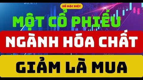 Phân tích cổ phiếu:  Một Cổ Phiếu Ngành Hóa Chất Giảm Là Mua  I Bảo ITP