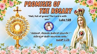 PROMISES OF THE ROSARY | LIVE | 30th May 2024