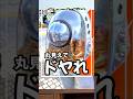 ペットをドヤるならコレ‼️ #レビュー #便利グッズ #新商品 #犬 #猫 #ペット #わんちゃん #猫ちゃん #愛犬 #多頭飼い #犬のいる暮らし #猫のいる暮らし