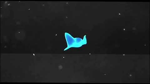 My new intro-(made on videoleap)