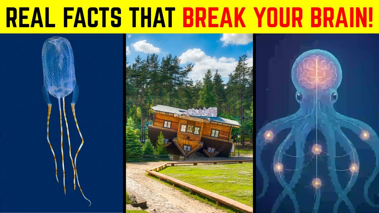 20 Unbelievable Facts That Sound Totally Fake – But Are 100% True!