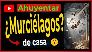 🔴 ¿Cómo Eliminar Murciélagos de mi casa?