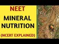 Mineral Nutrition/Class 11/NCERT/Quick Revision Series/NEET/AIIMS/Jipmer/2019/By Beats For Biology