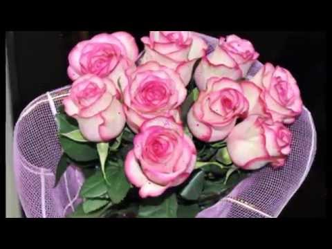 Стихи к подарку розы новые фото Стихи к подарку розы новые фото