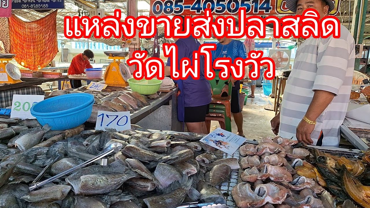 วัดไผ่โรงวัว