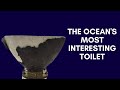 The Most Interesting Toilet On The Ocean Floor