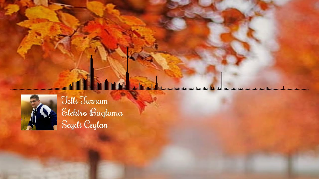 Telli Turnam - Seydi Ceylan - Elektro Bağlama Tavsiye