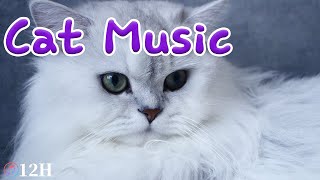 The cat falls into a sleep. Cats favorite music, sleep music for cats, stress relief music