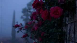 Vannvidd ~ Springtime Depression (Forgotten Tomb cover)