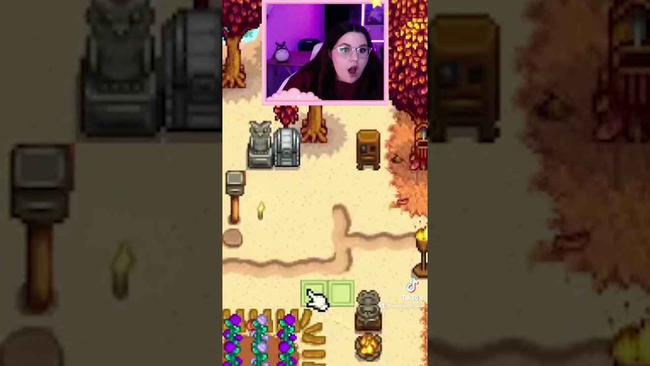 Stardew Valley You Can Move the Shipping Bin? 