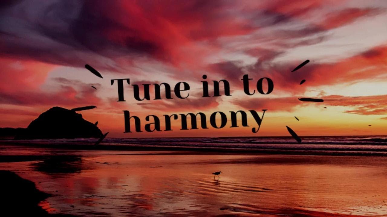 The Forest Birds Are Vanishing | Nature's Soothing Sounds