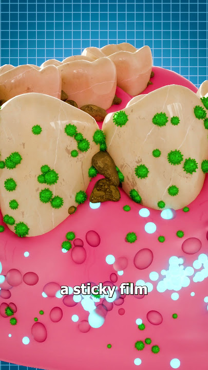 Why You Should Floss... 😨