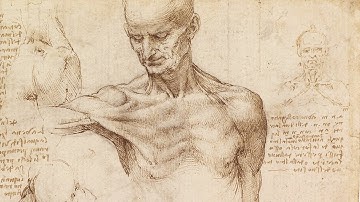 Shoulder Muscles - Anatomy Master Class